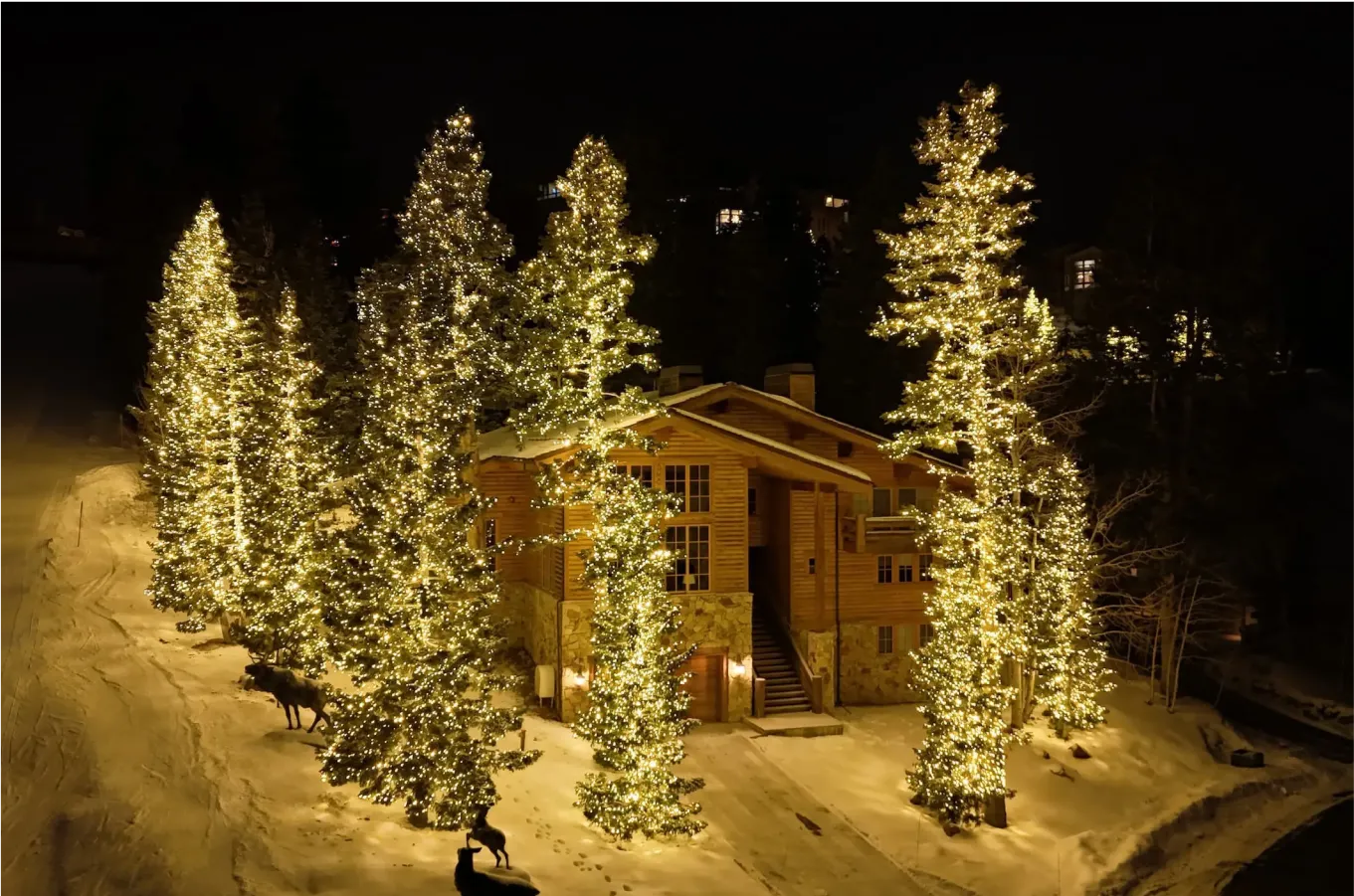 holiday residential lighting installation